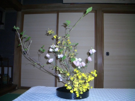 tiho_20090613
