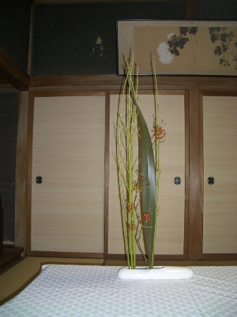 kasei_20091029