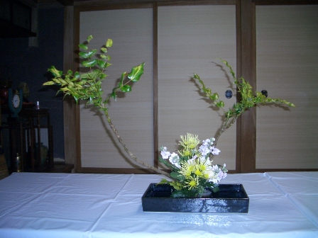 reiko_20091031