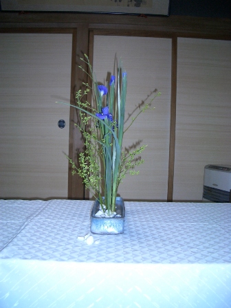 kasei_20091128