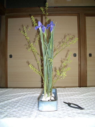 reiko_20091128