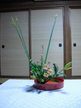 eriko_20100313