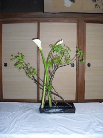 birei_20100403