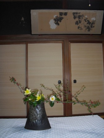 kafu_20100424