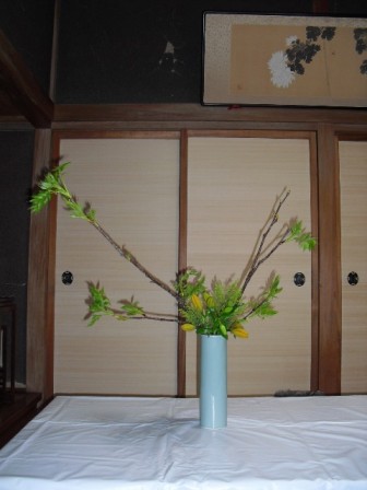 takako_20100403
