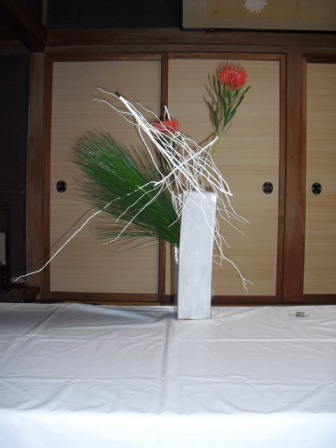 tiho_20091227