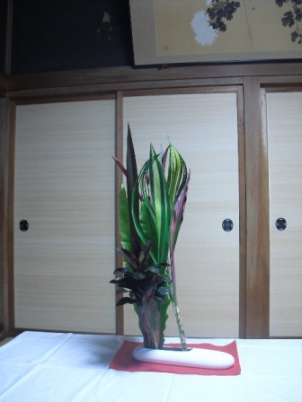 birei_20100529