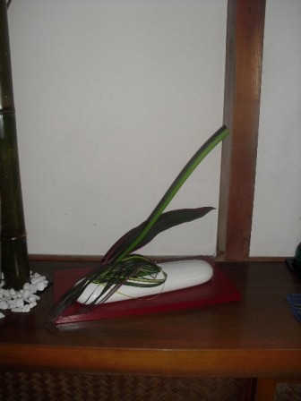 kafu_20100627