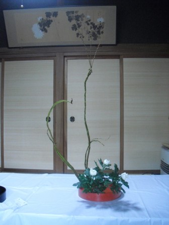 kazue_20101009
