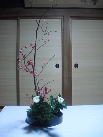 mituko_20101008
