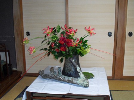 kafu_20101103