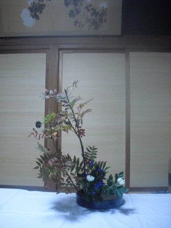 kazumi_20101028