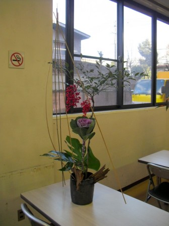 kafu_20101212