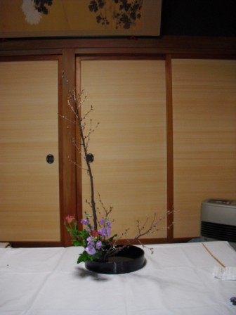 tikako_20110120