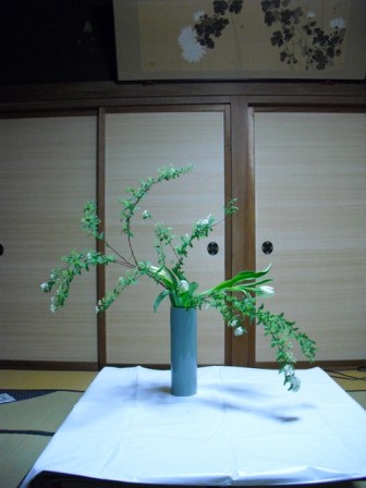 tikako_20110217