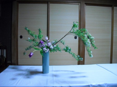 tikako_20110224