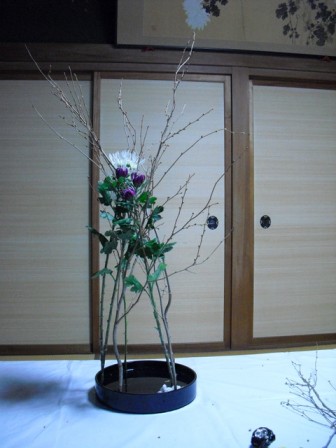 tikako_20110310