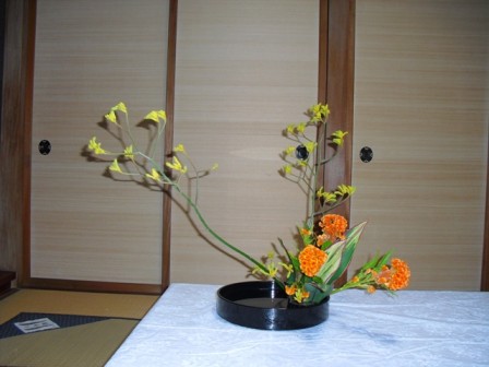 karin_20111022