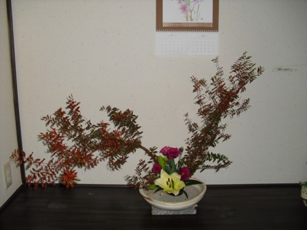 tikako_20111025