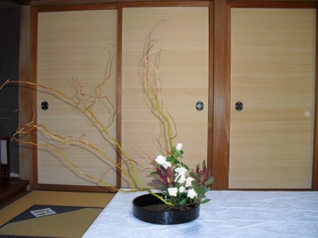 tikako_20111118