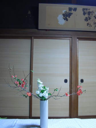 birei_20111119