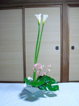 karin_20120218